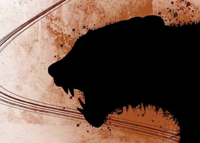 Minimalism lion