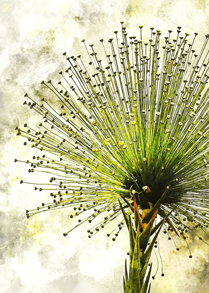 Floral art