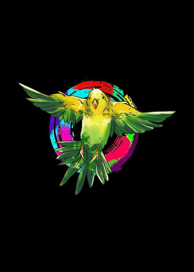 Colorful Budgerigar