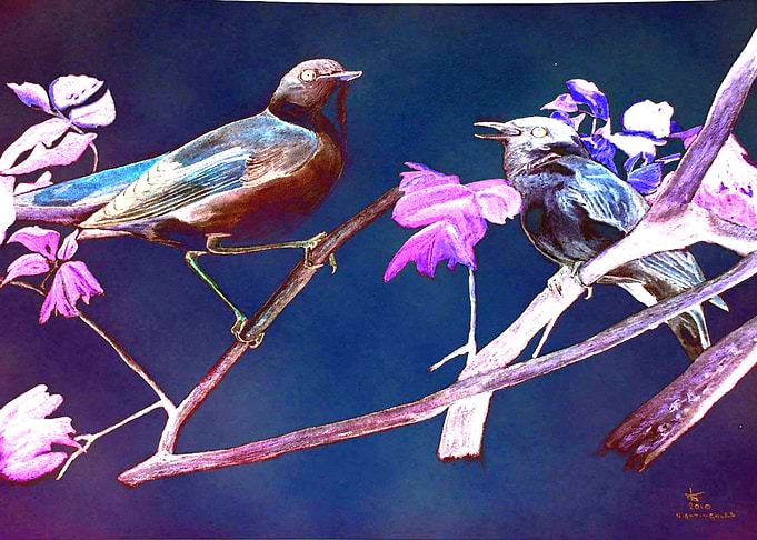 Nightingales