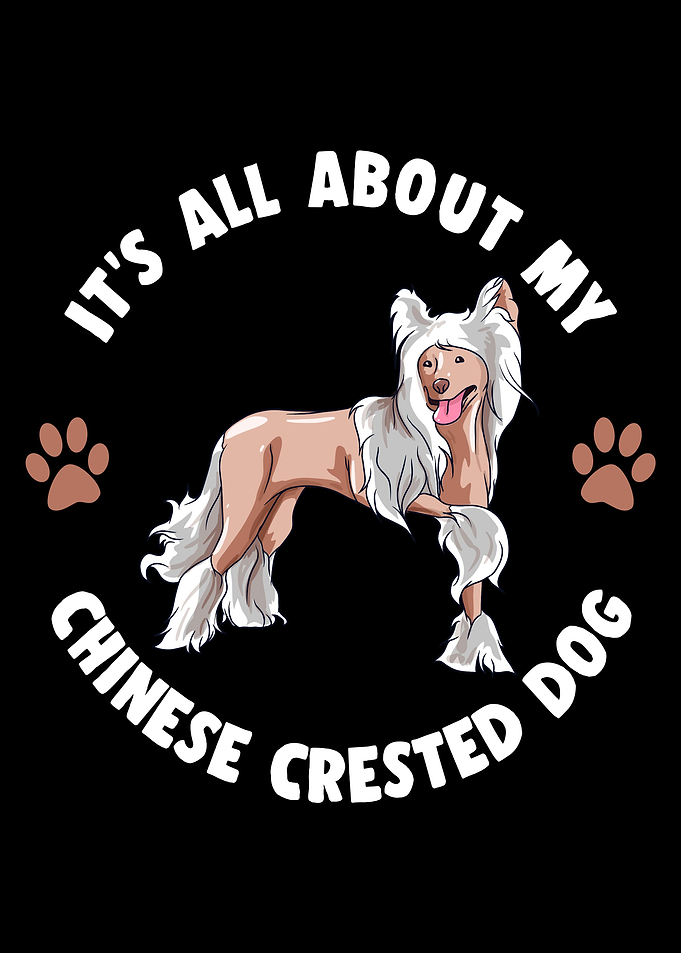 Chinese Crested Dog