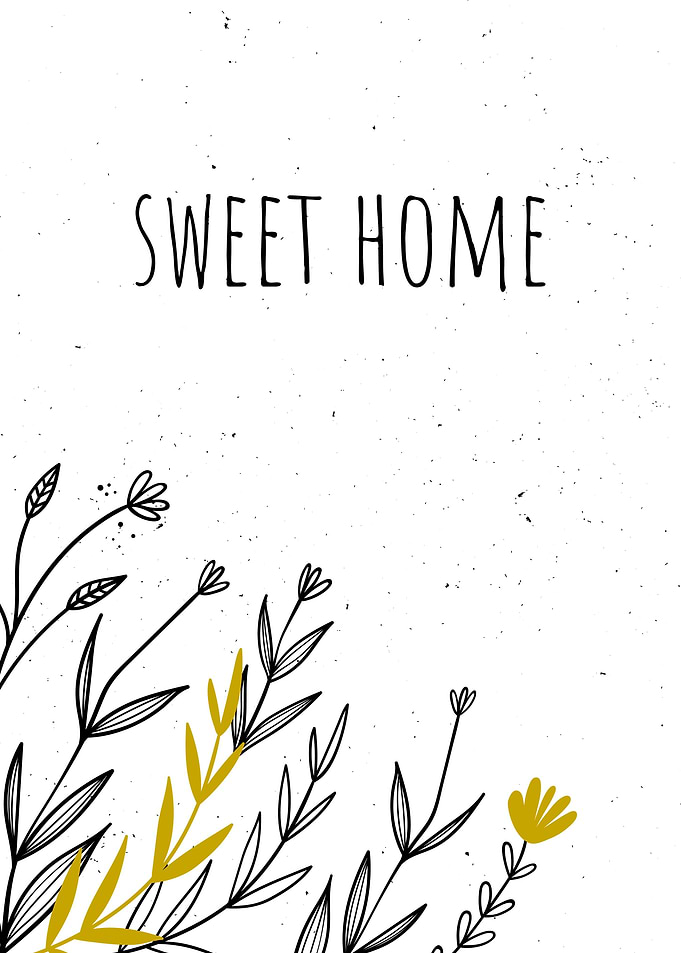 Plants for home