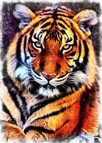 Predator Portrait