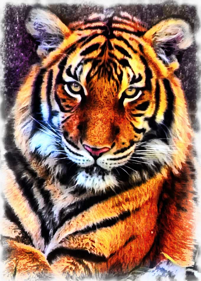 Predator Portrait