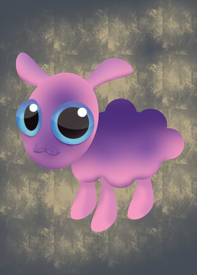 Cute little sheep