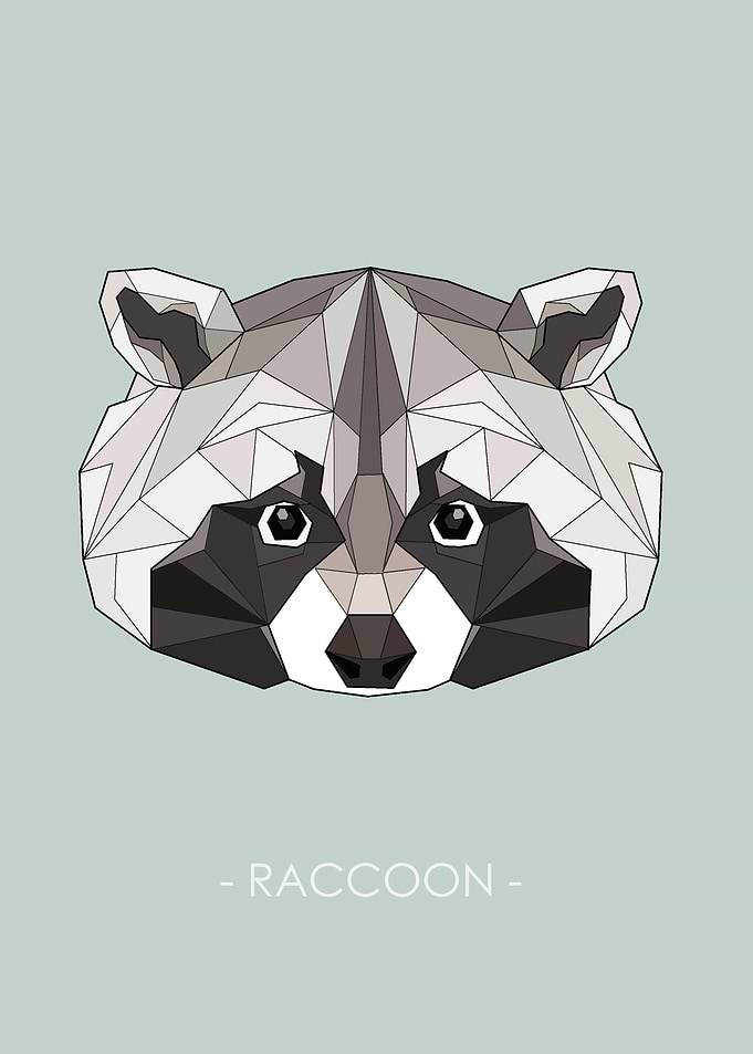 RACCOON