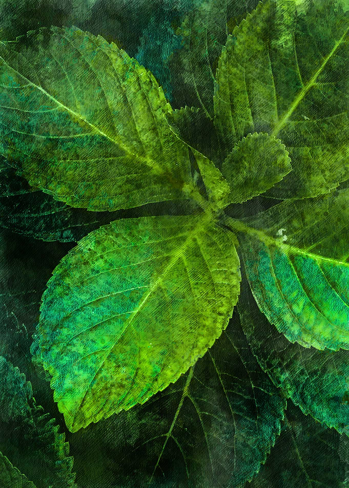 Floral art