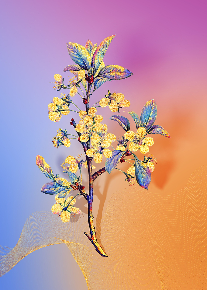 Prismatic Plum