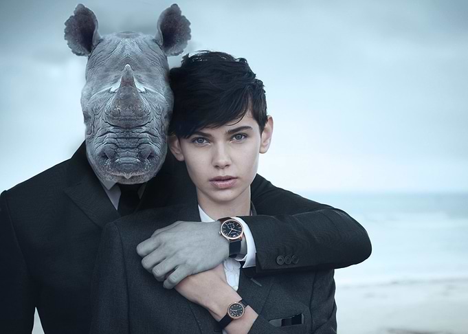 RHINOCERONS