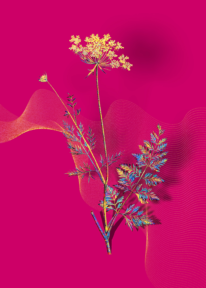 Prismatic Lace Flower