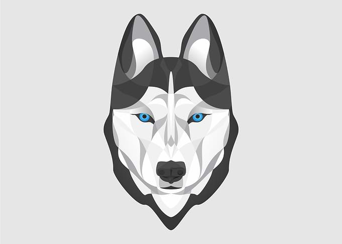 Dogwhistle politics