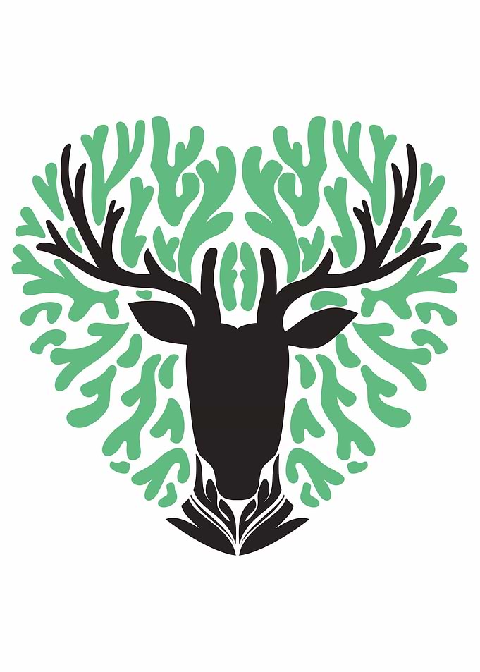 deer growth with love