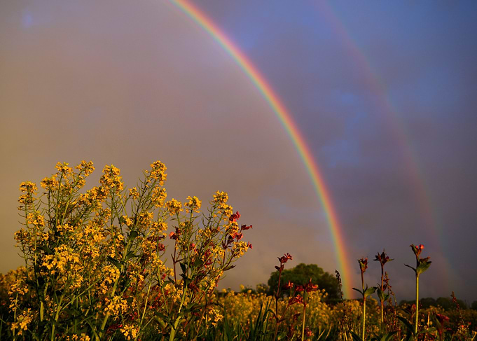 Double rainbow
