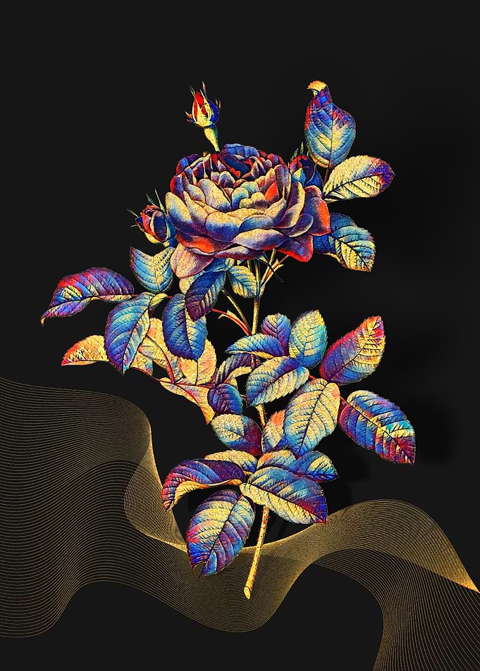 Prismatic Gallic Rose