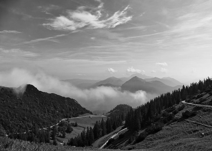 Alps Herzogstand BW