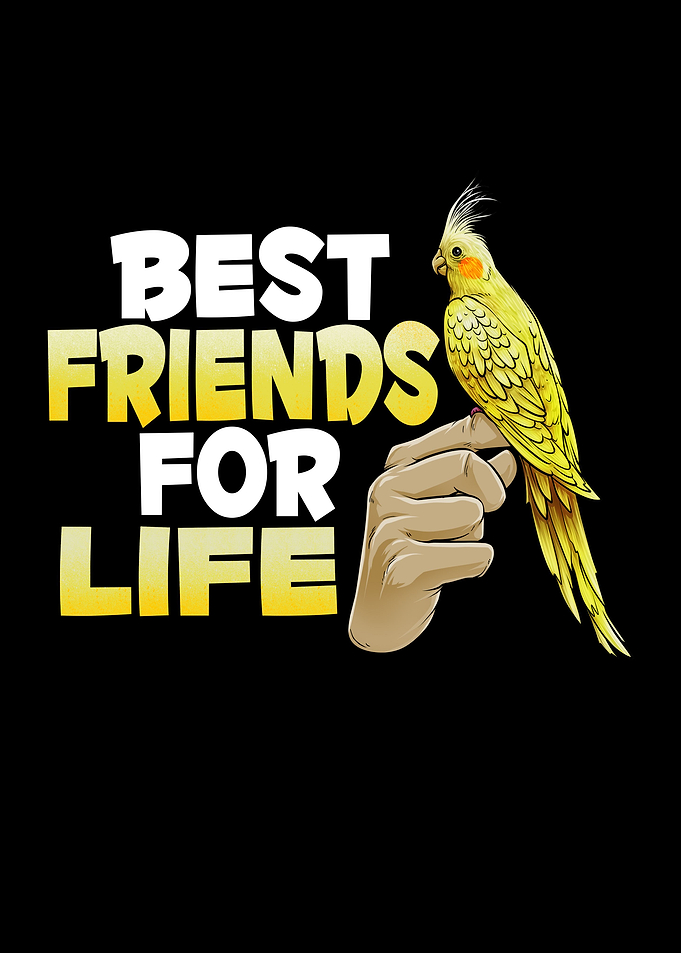 Cockatiel Budgie Bird