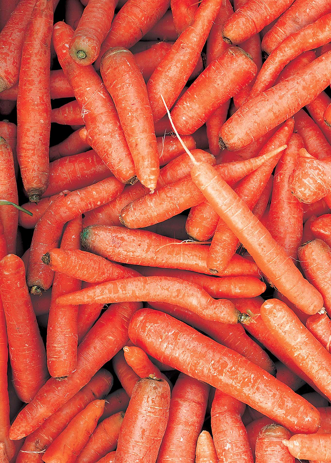 carrots