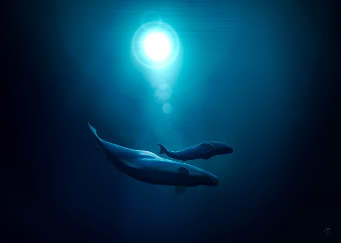 Free As a Whale