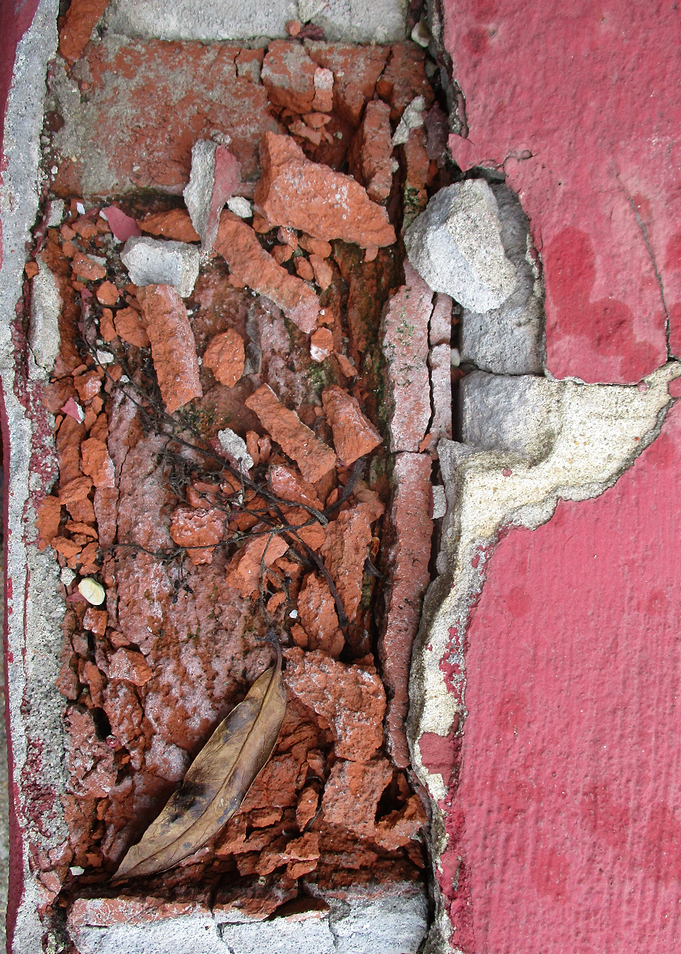 Leaf and Rubble II