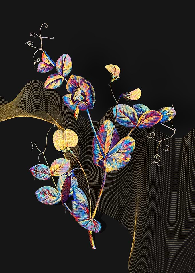 Prismatic Pea Flower