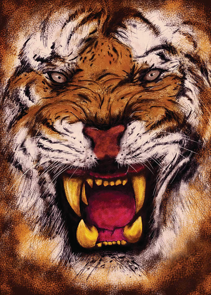 Tiger Drawing angry