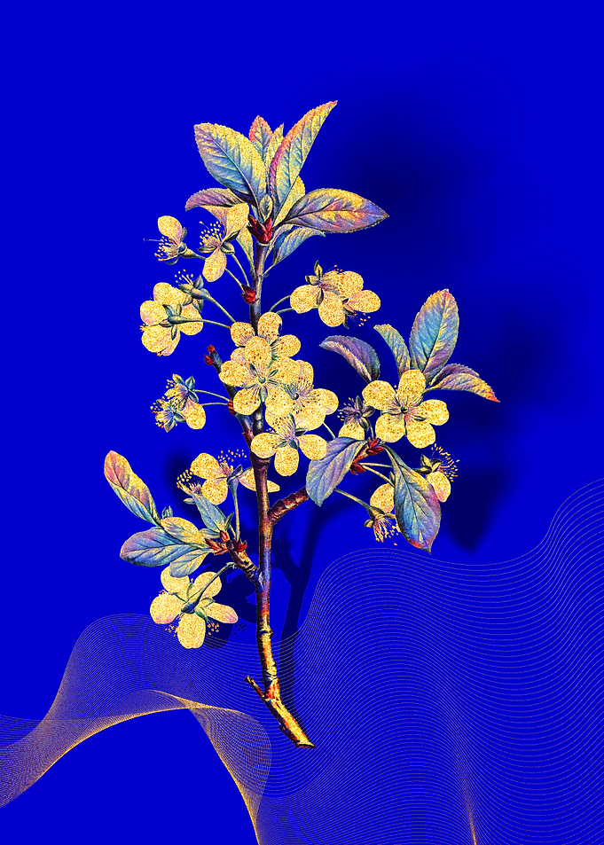 Prismatic Plum