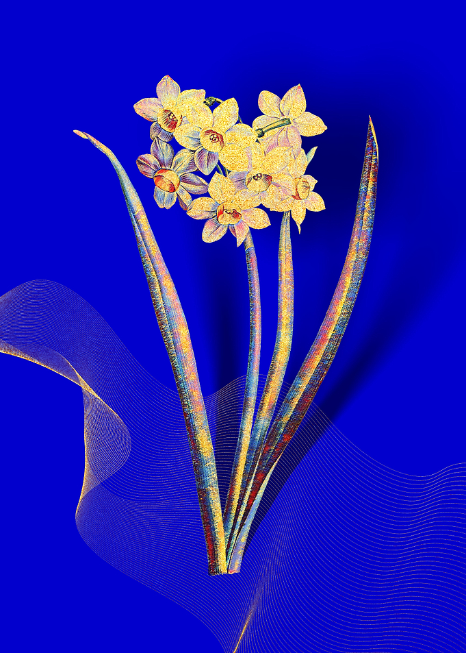 Prismatic Narcissus Flower