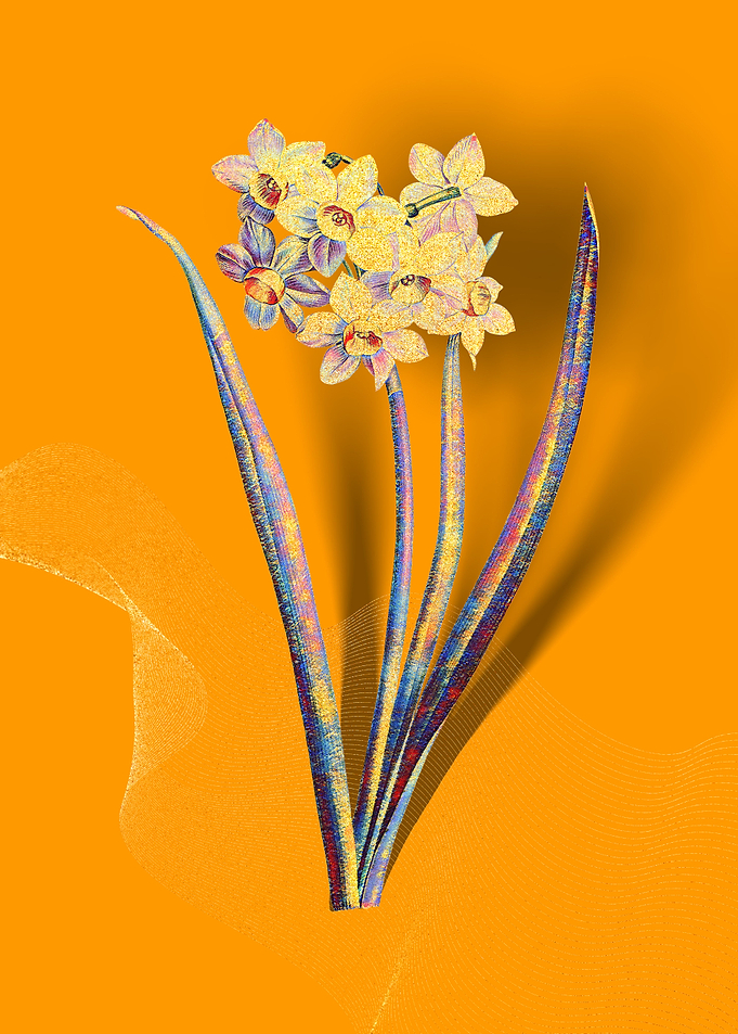 Prismatic Narcissus Flower