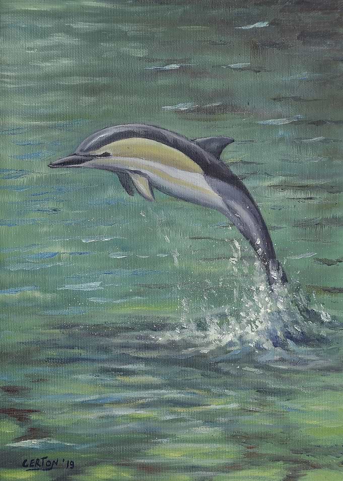 Leaping dolphin