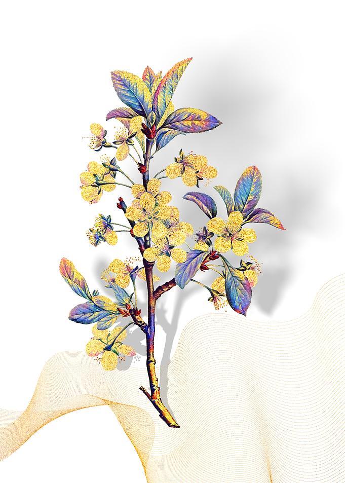 Prismatic Plum