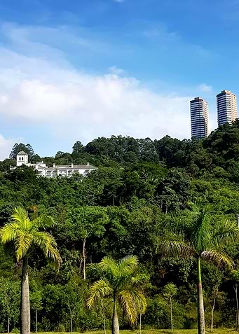 SAO PAULO TANGARA PALACE