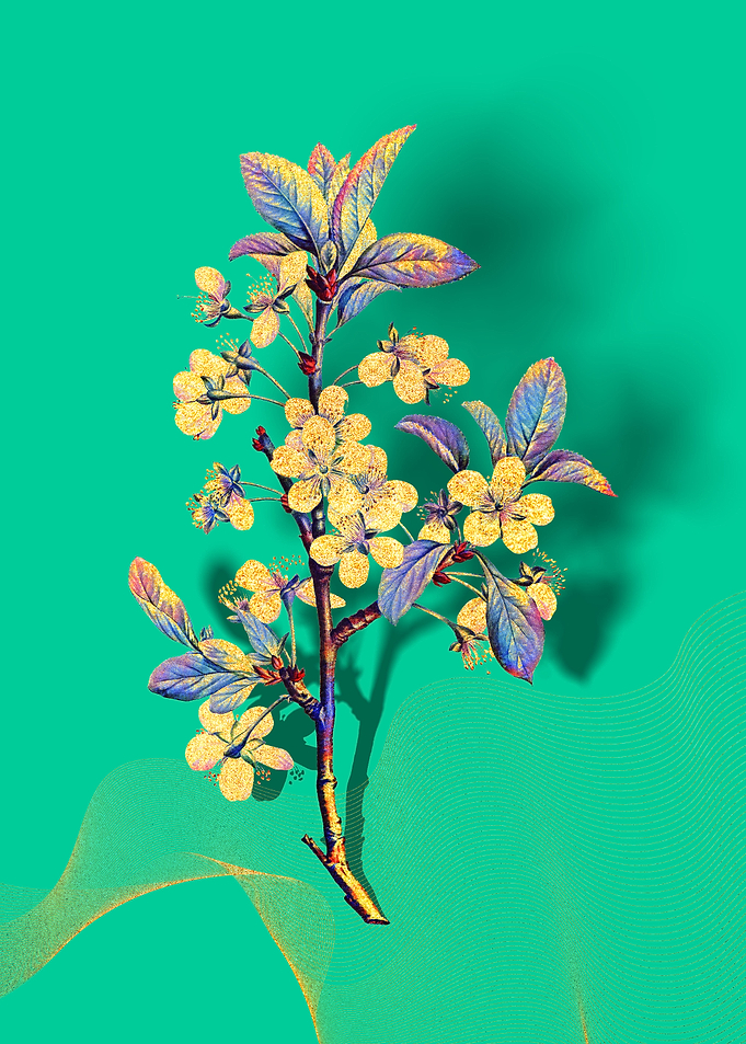 Prismatic Plum
