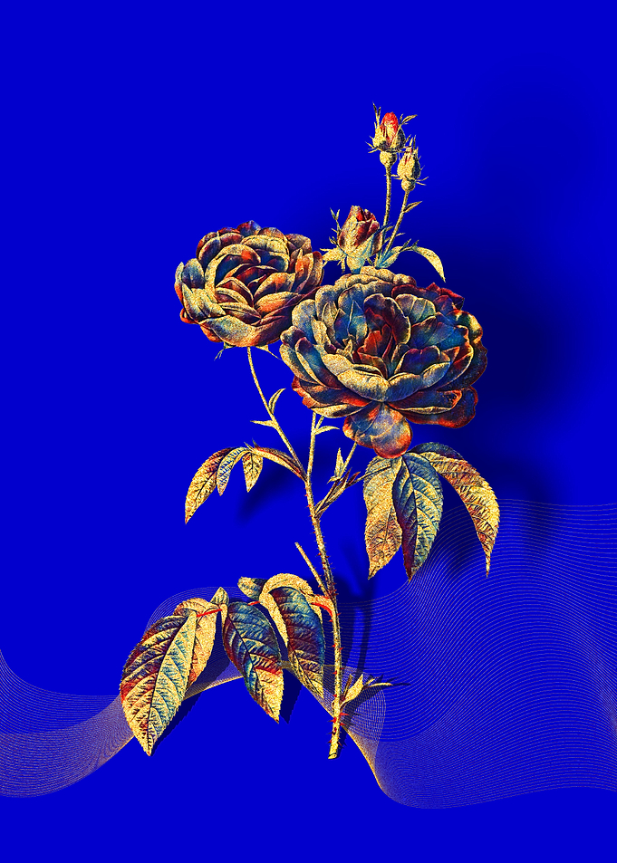 Prismatic Purple Roses