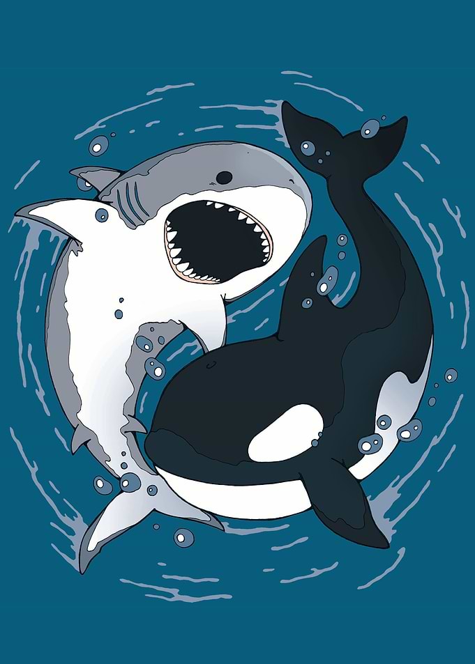Shark and Killer Whale