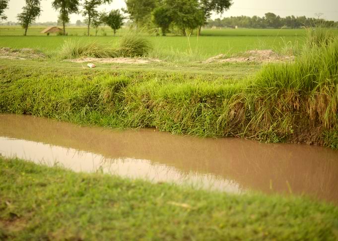 Green banks of canal