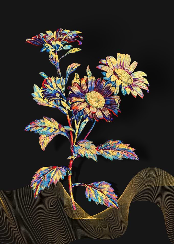 Prismatic Red Aster
