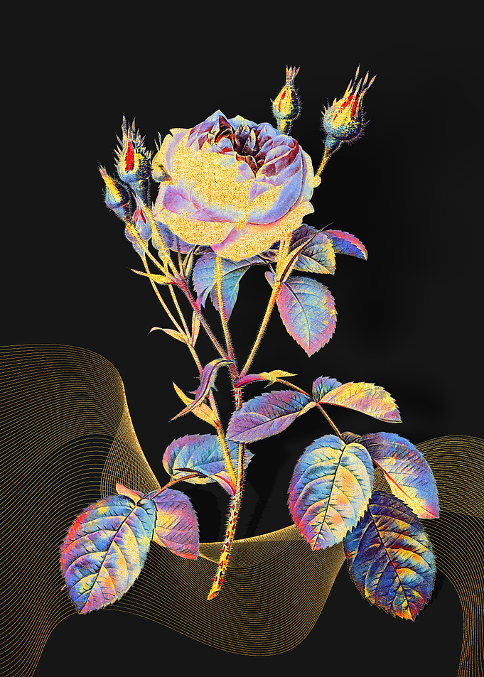 Prismatic Rose Bush