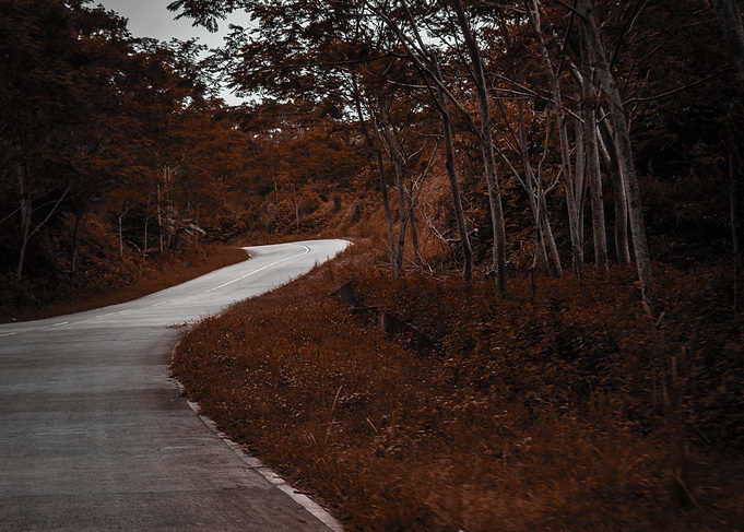 The lone road