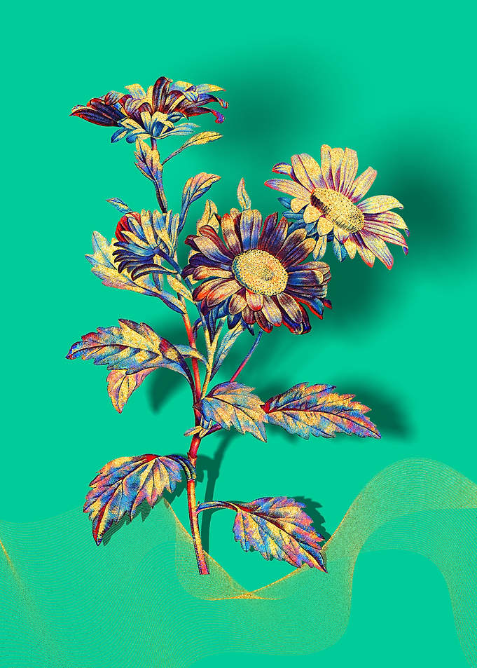 Prismatic Red Aster