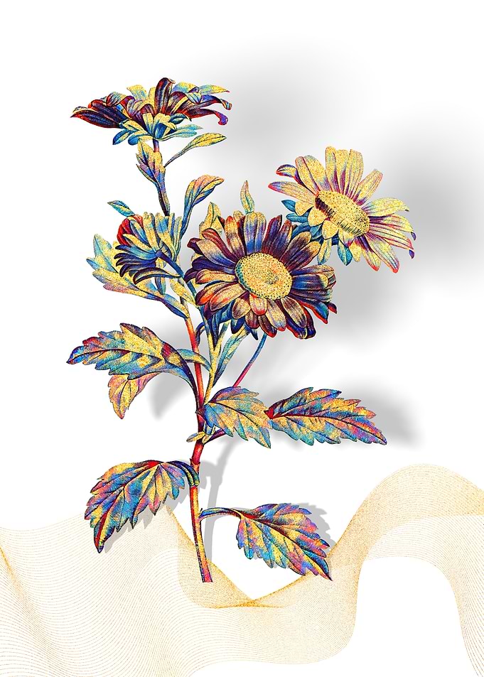 Prismatic Red Aster