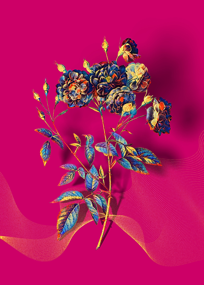 Prismatic Ternaux Rose