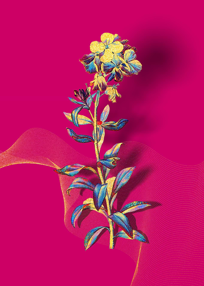 Prismatic Yellow Wallflowe