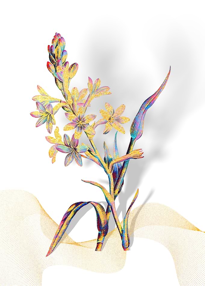 Prismatic Tuberose Flowers