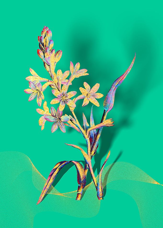 Prismatic Tuberose Flowers
