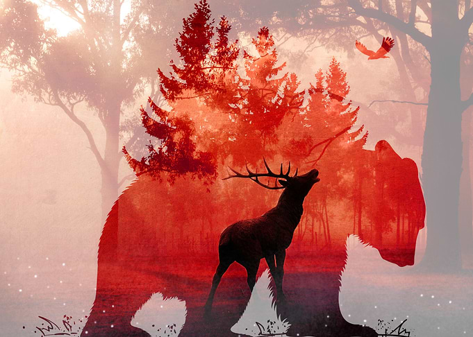 Deer Fantasy