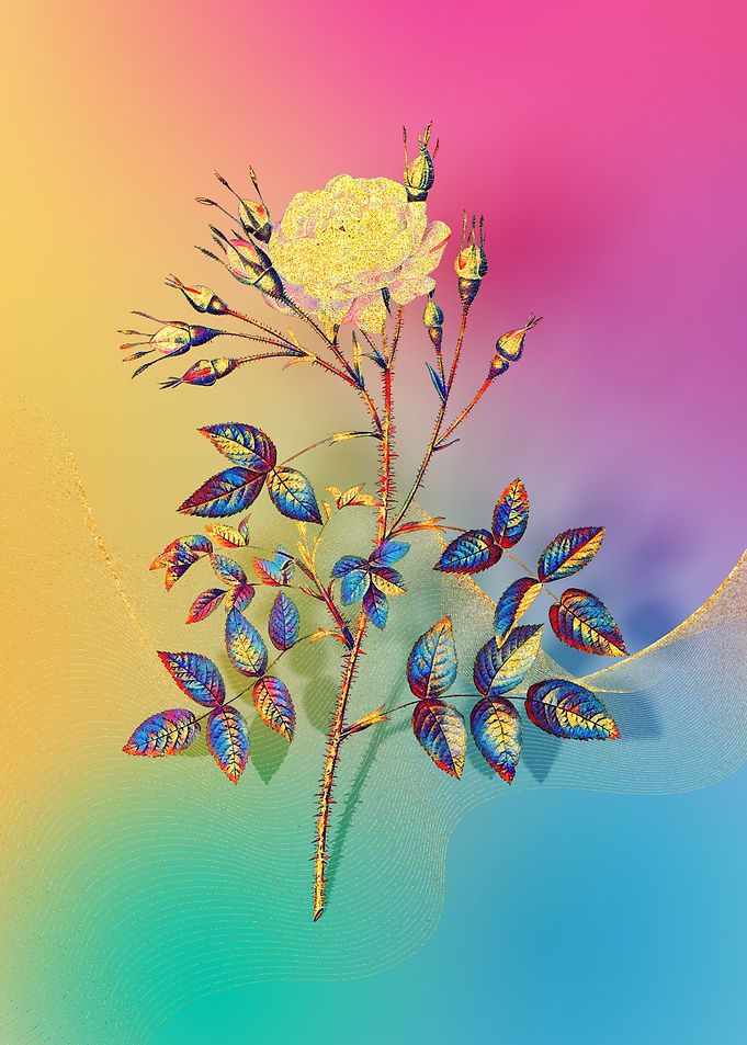Prismatic Rose Rosenberg
