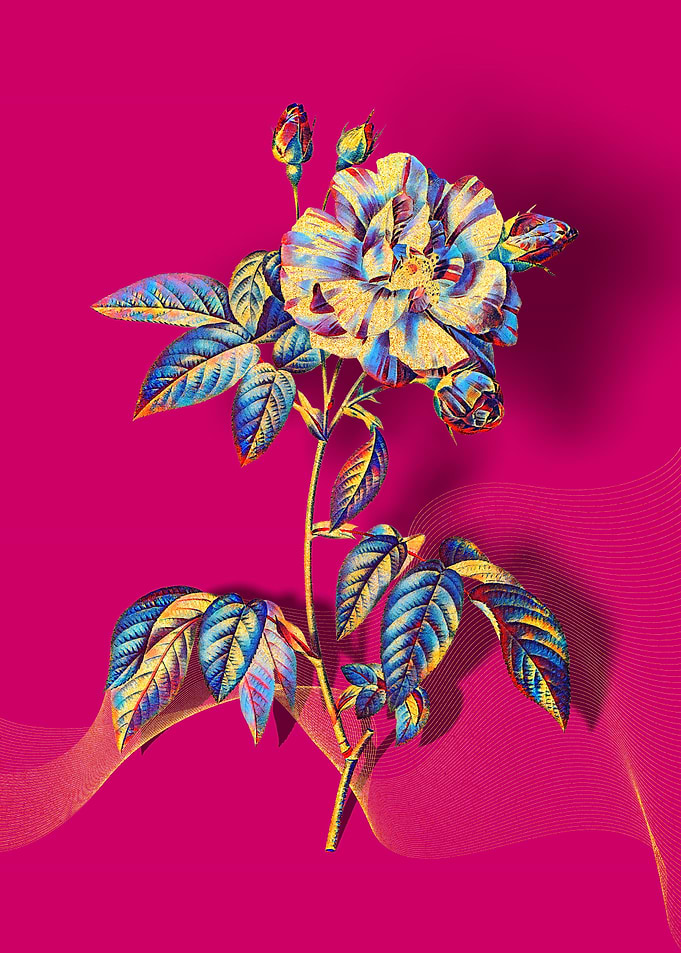 Prismatic Rosa Versicolor