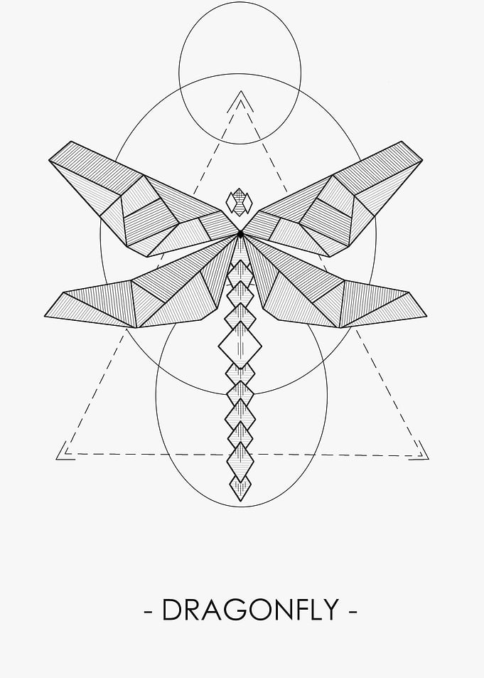 DRAGONFLY