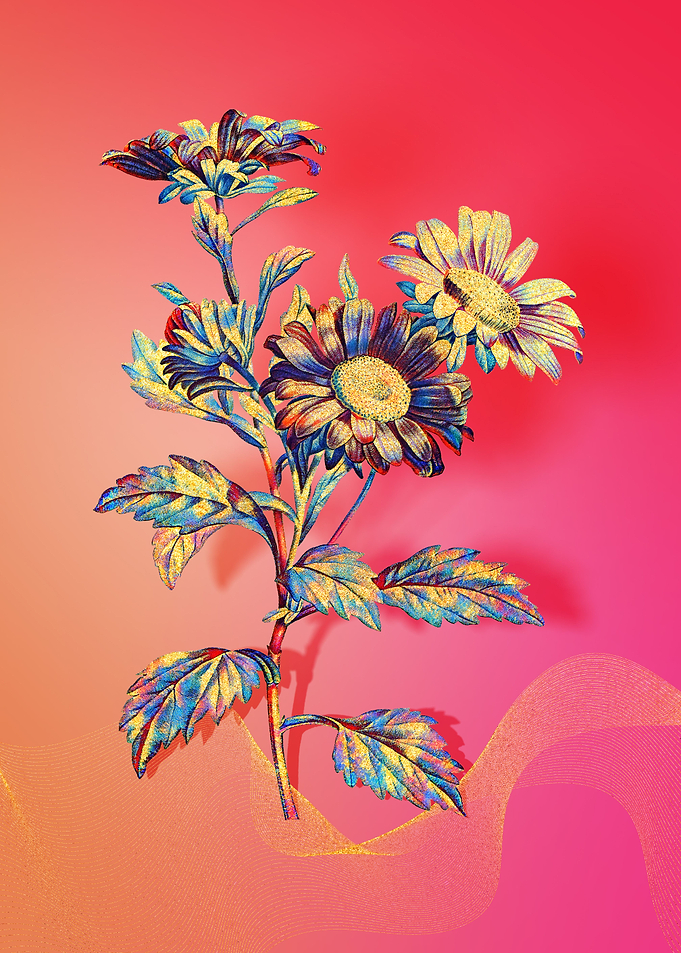 Prismatic Red Aster