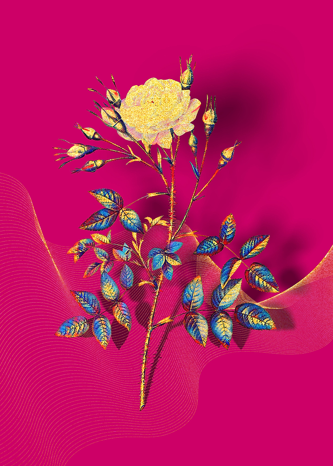 Prismatic Rose Rosenberg